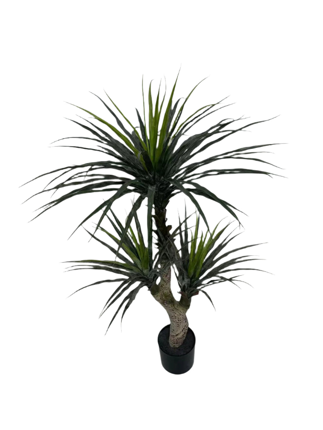 Wildstone 1.2M Artificial Dracaena Tree – Model 0575-3 | Multi-Head Indoor Decorative Plant