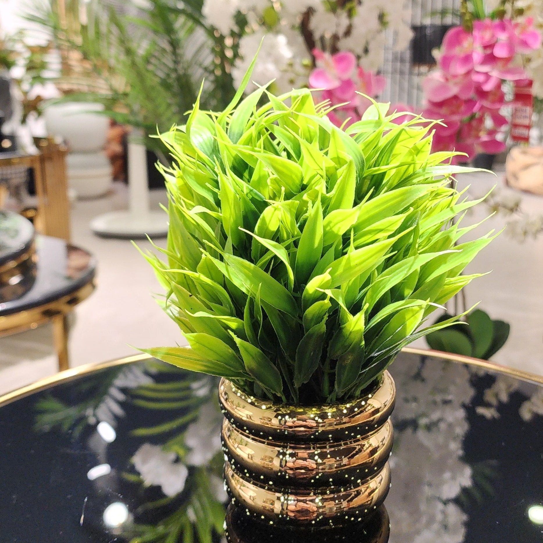 TP-003 Wide Grass Bonsai