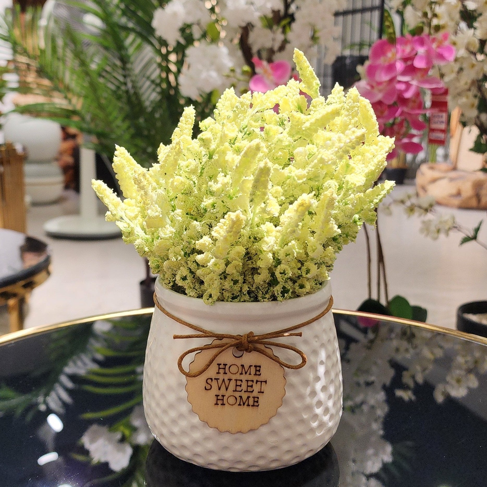 TP-009 Cream Lavender Plant