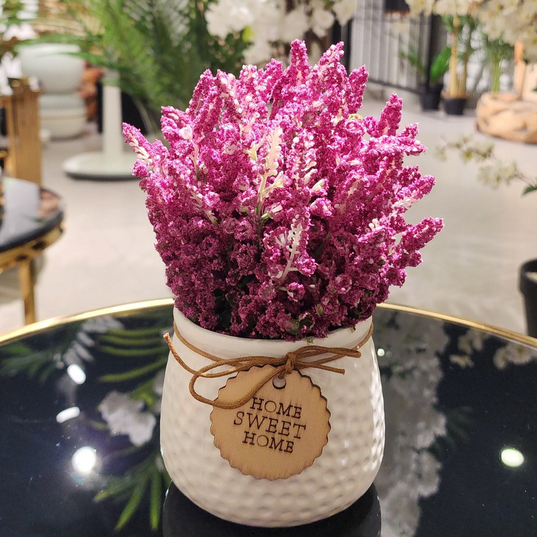 TP-06 Purple Lavender Plant