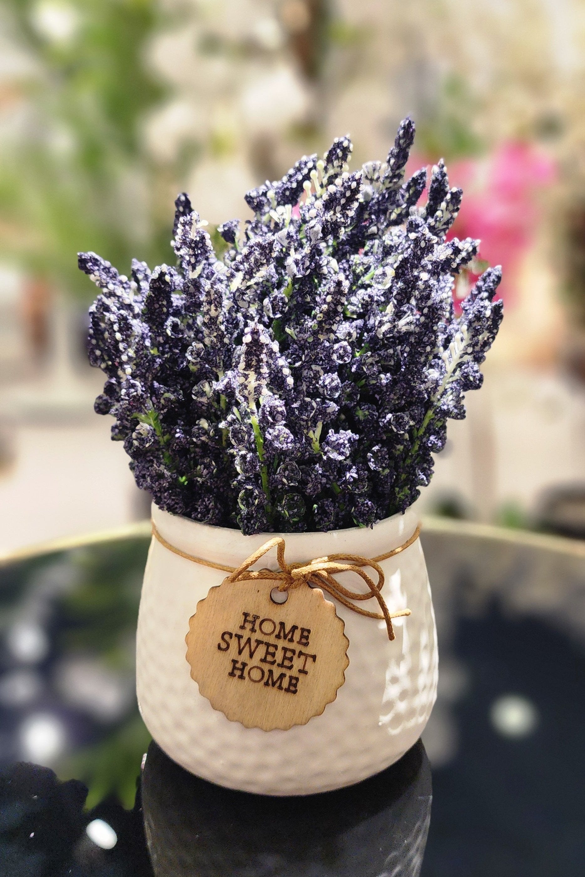 TP-007 Blue Lavender Plant
