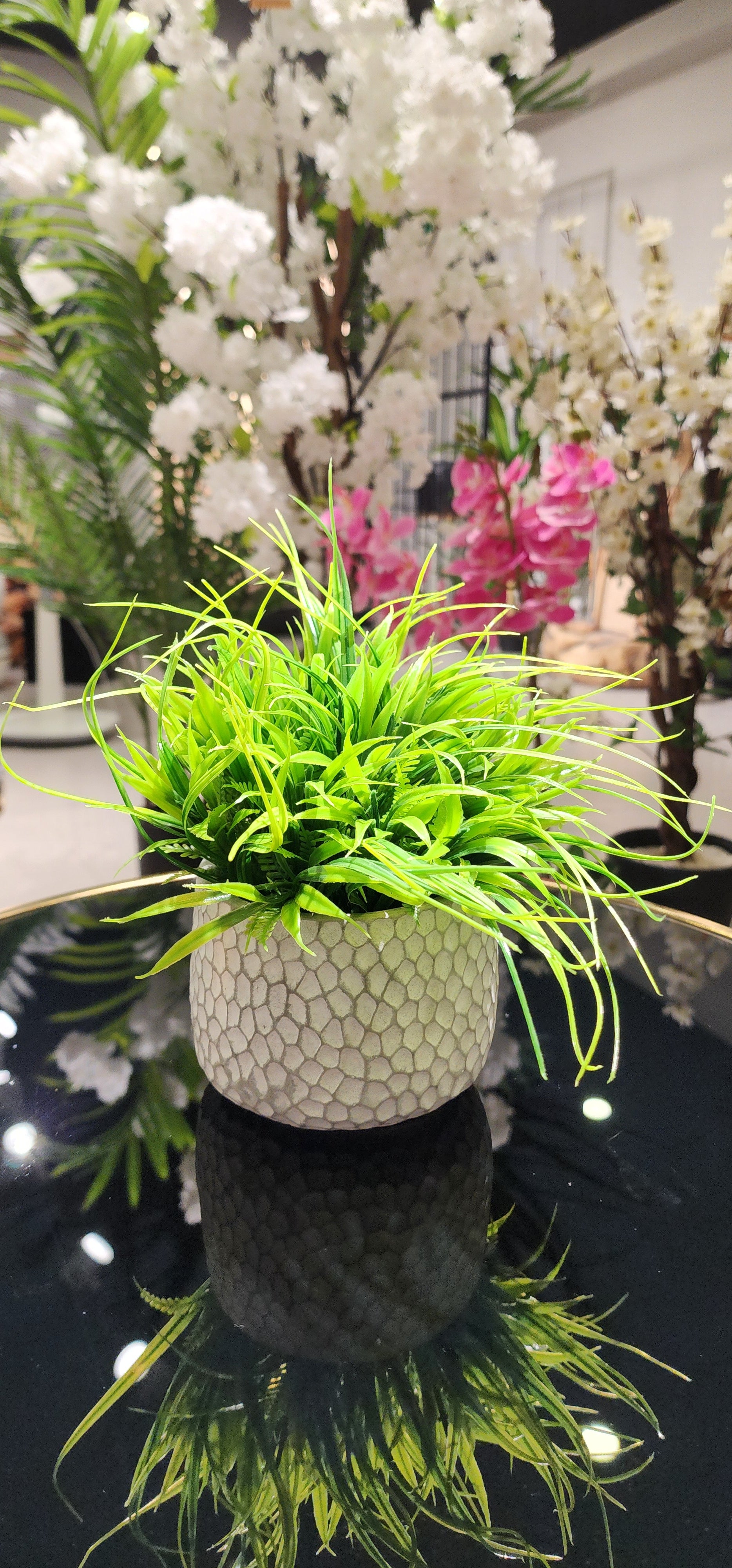 TP-001 Thin Long Grass Plant