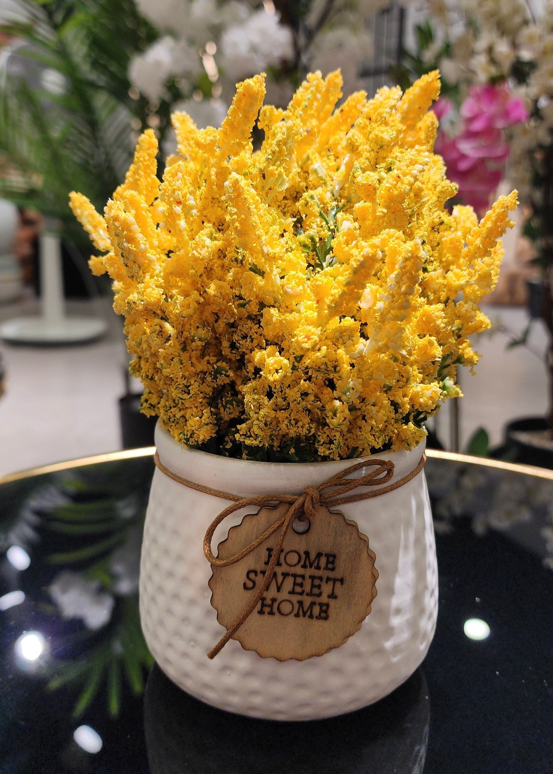 TP-008 Yellow Lavender Plant