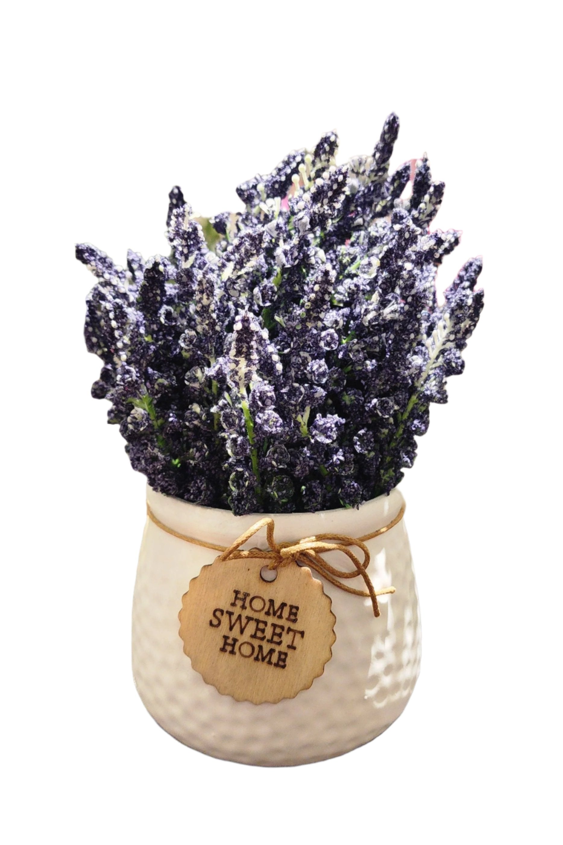 TP-007 Blue Lavender Plant