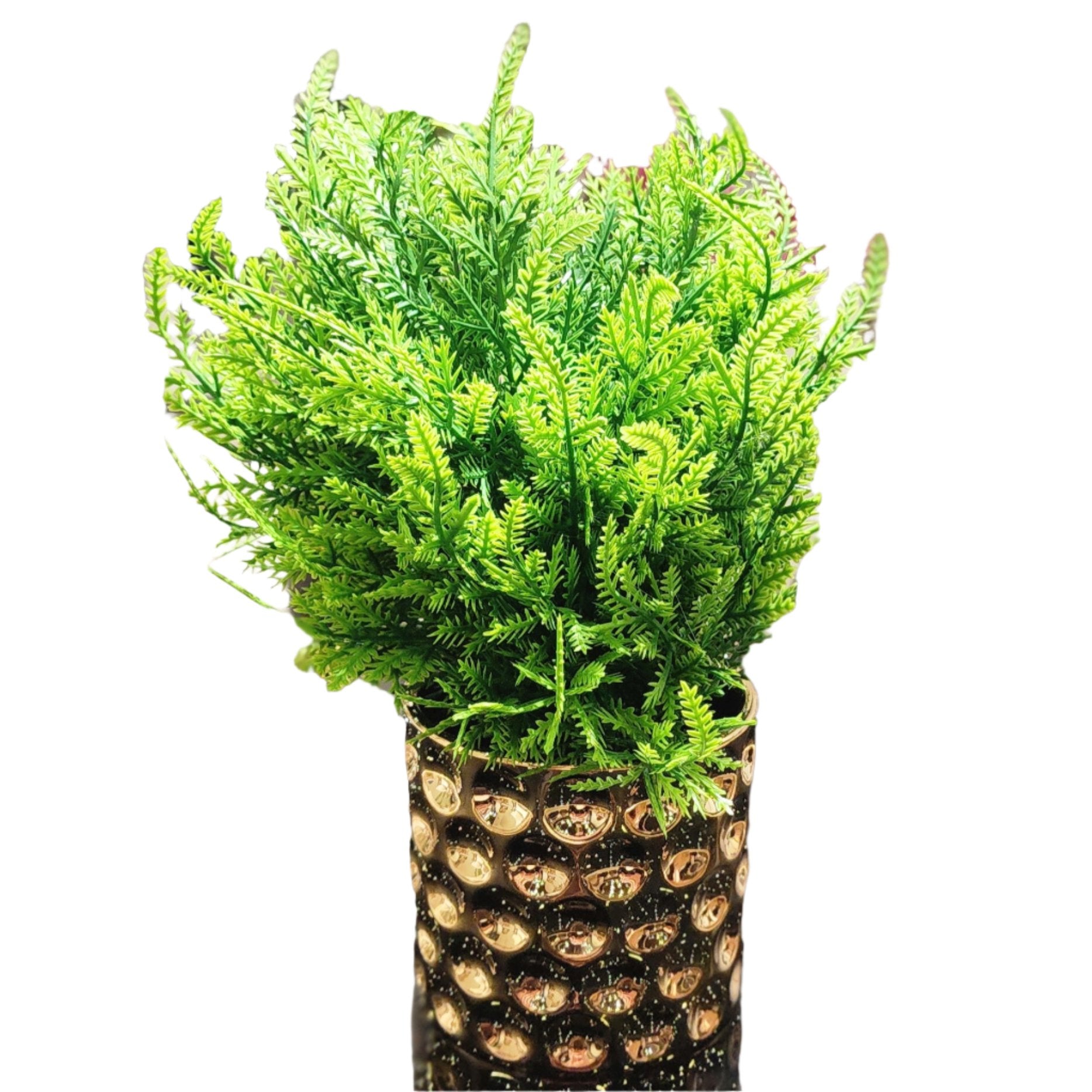 TP-005 Decorative Grass Plant