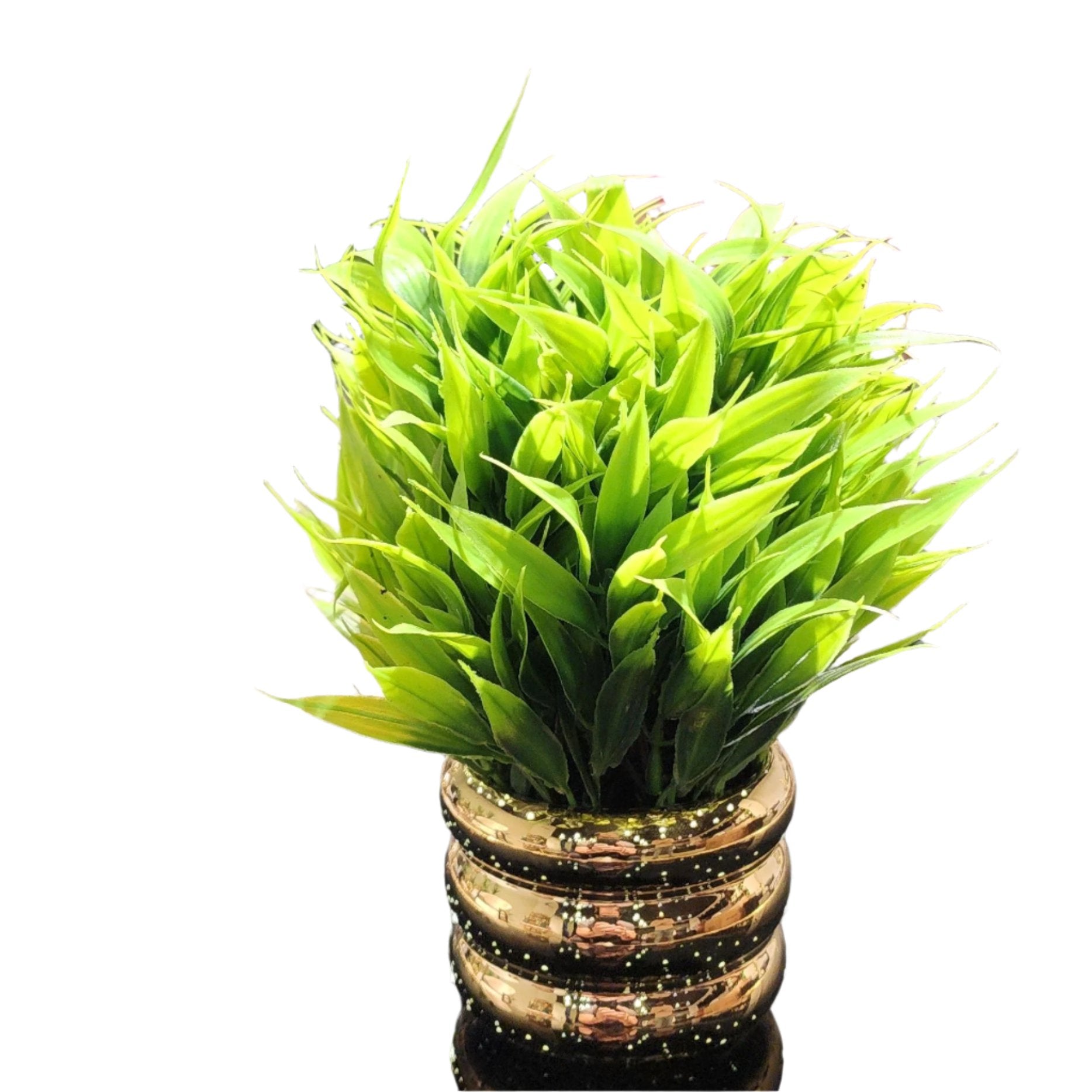 TP-003 Wide Grass Bonsai