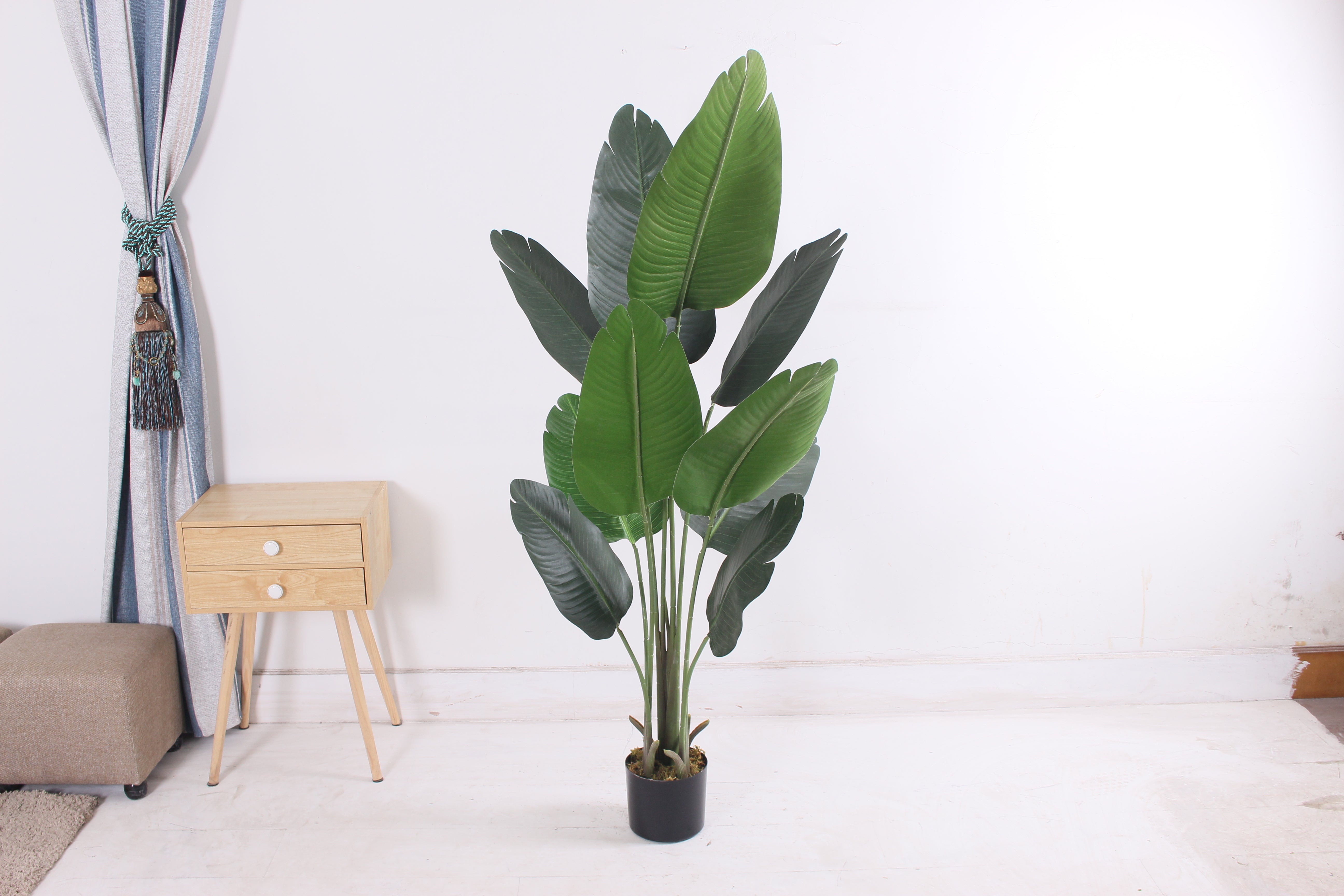 Banana tree - JWT - 3017