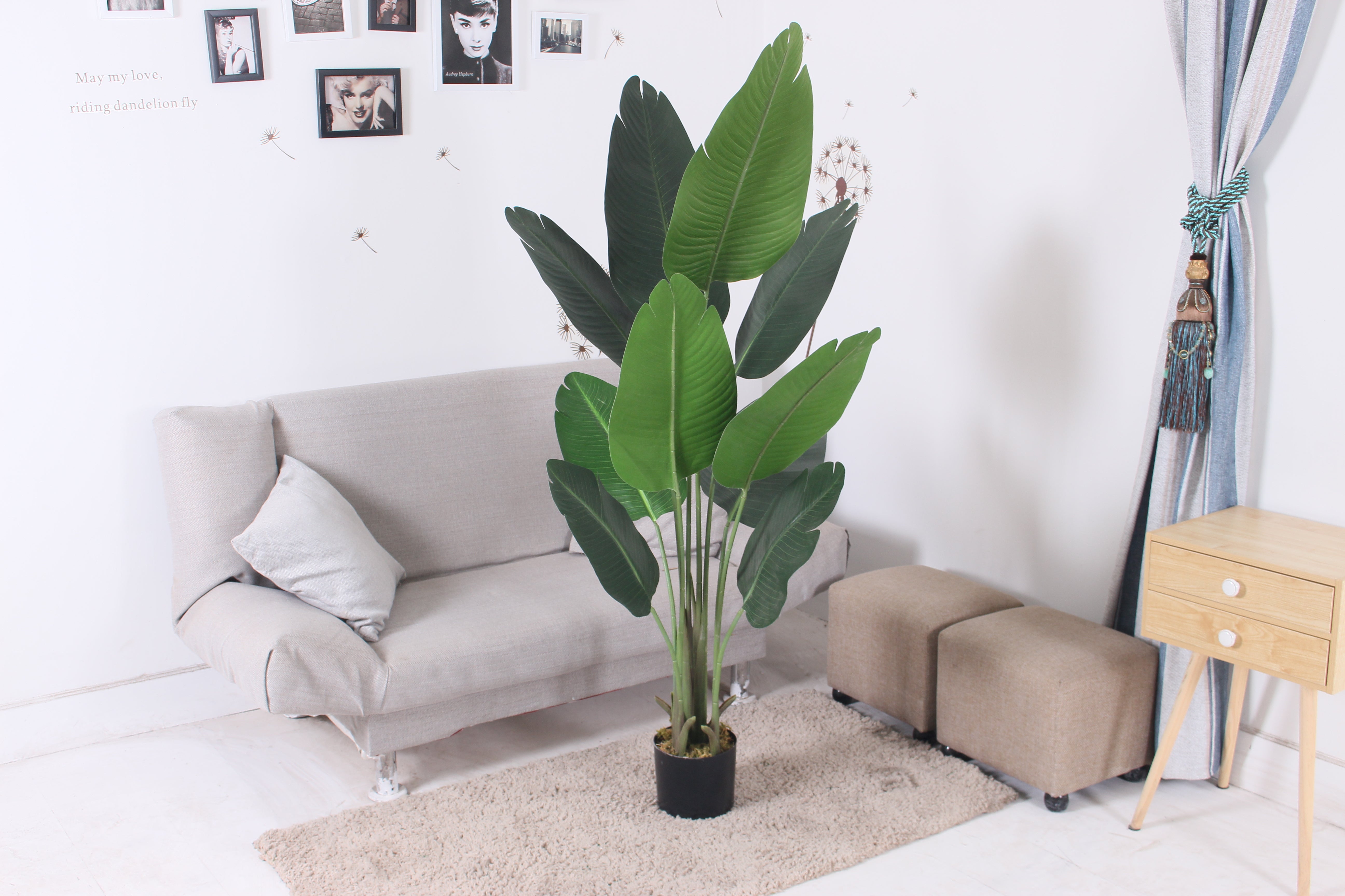 Banana tree - JWT - 3017