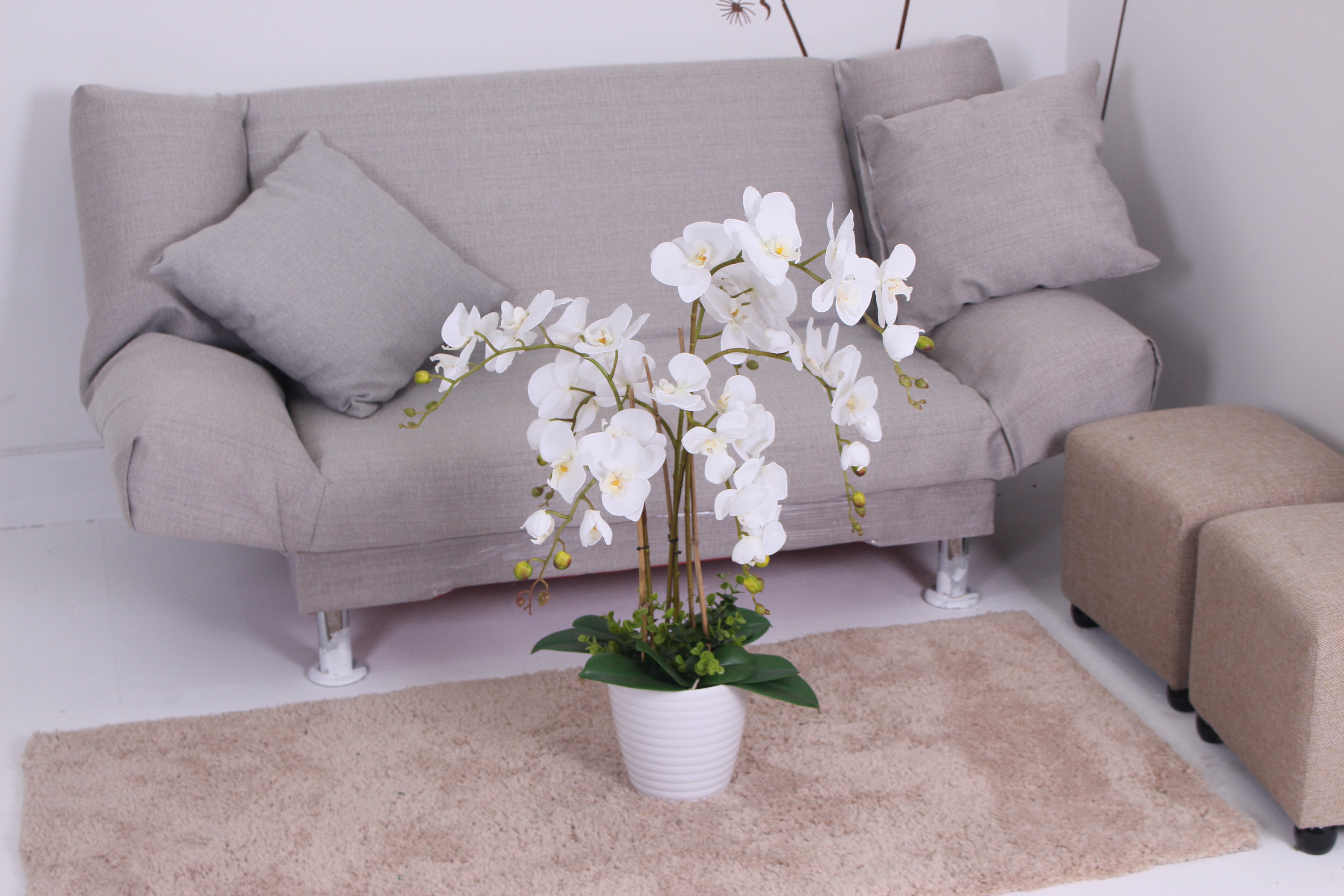 Orchid - JWP - 363