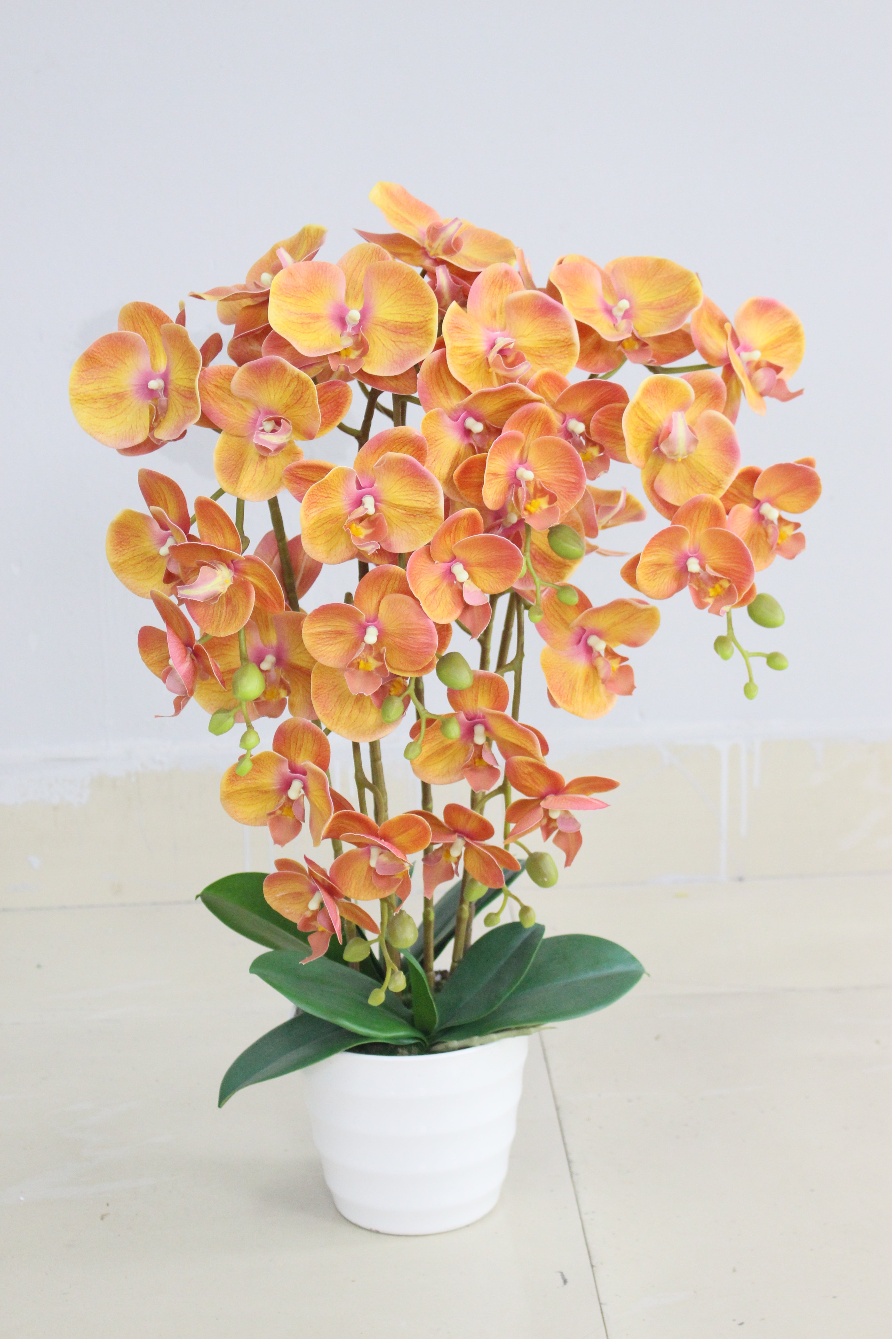 Orchid - JWP - 393