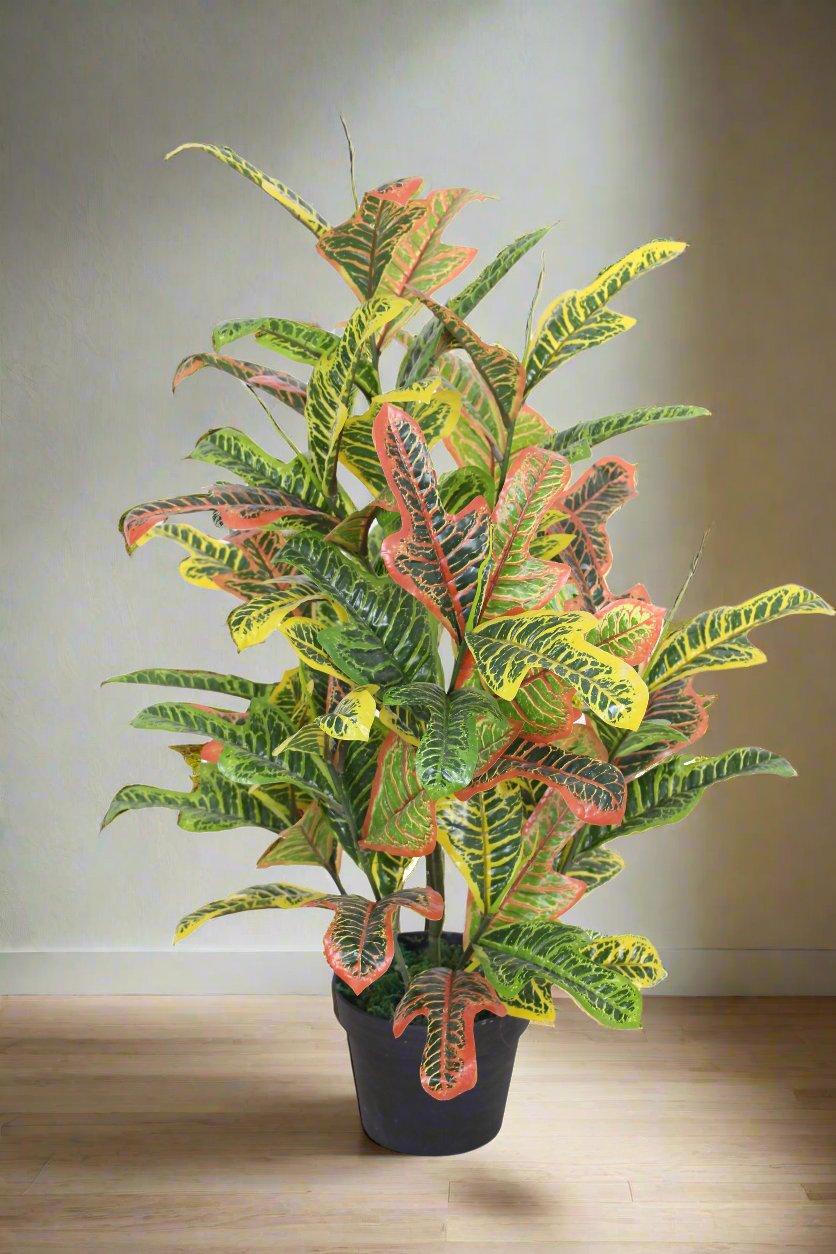 Artificial Codiaeum - JWS2652