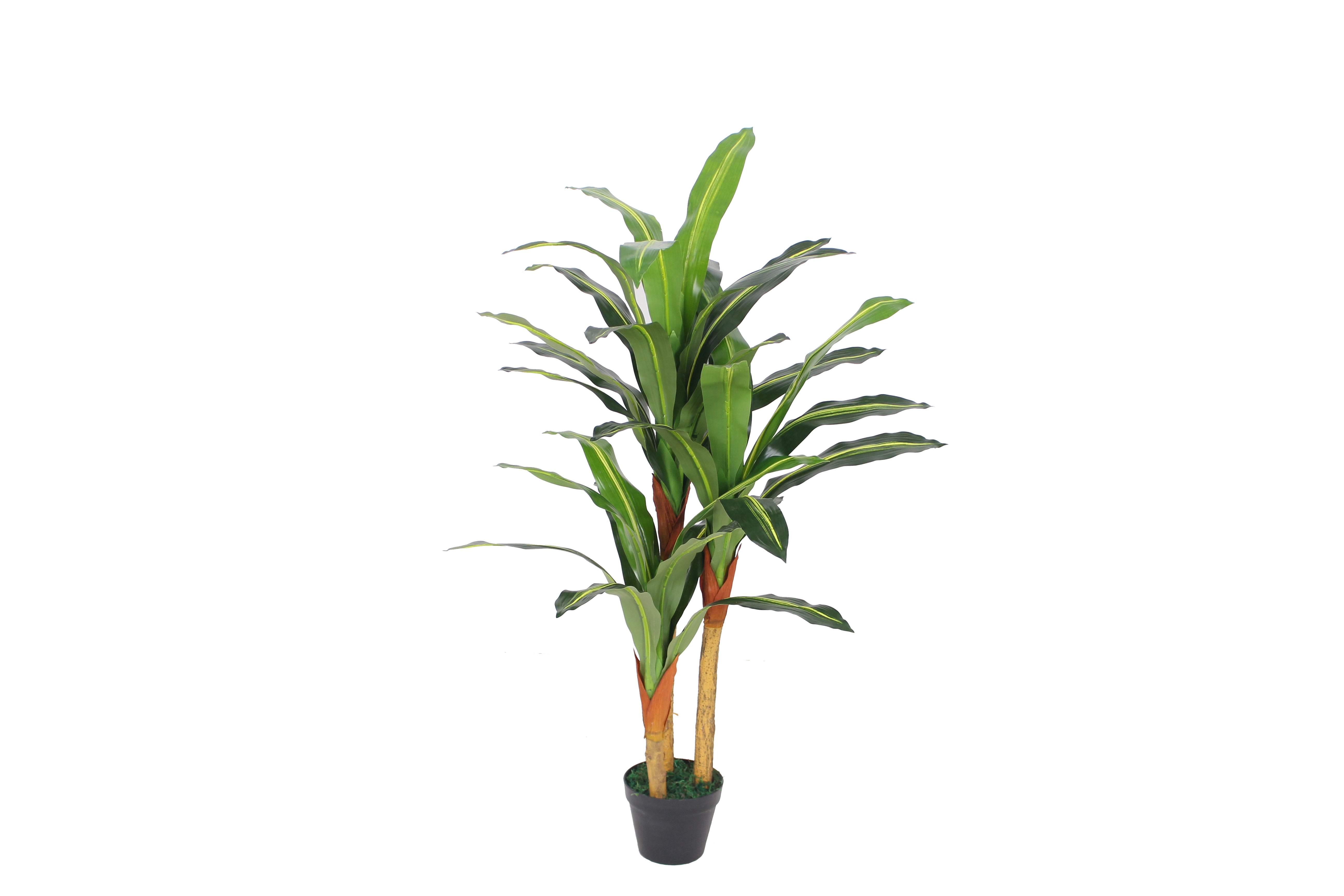 Artificial Dracaena - JWS - 2685