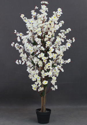 WInter sweet -  JWT - 2586