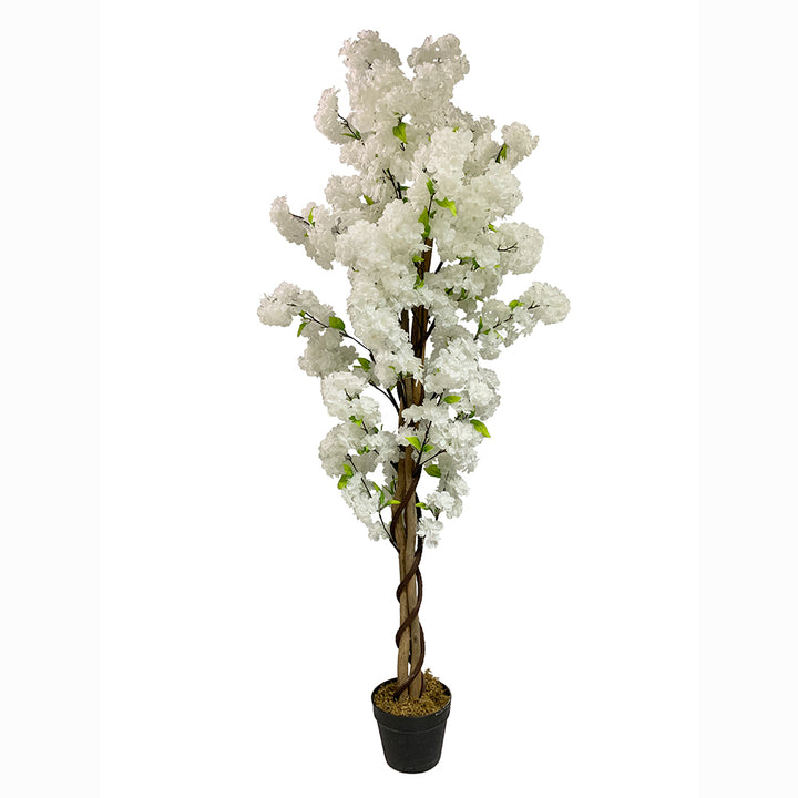 Cherry - JWT - 3089