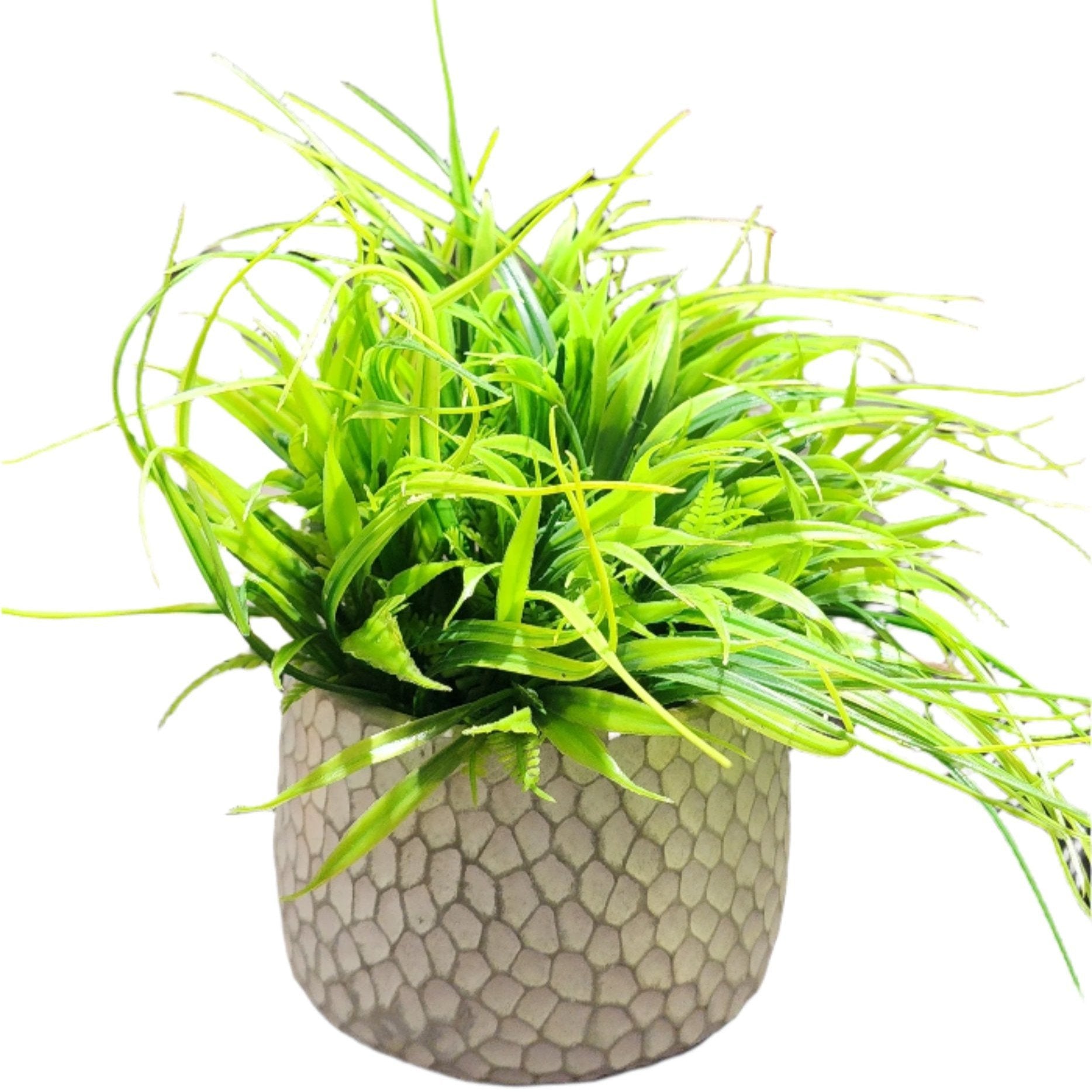TP-001 Thin Long Grass Plant