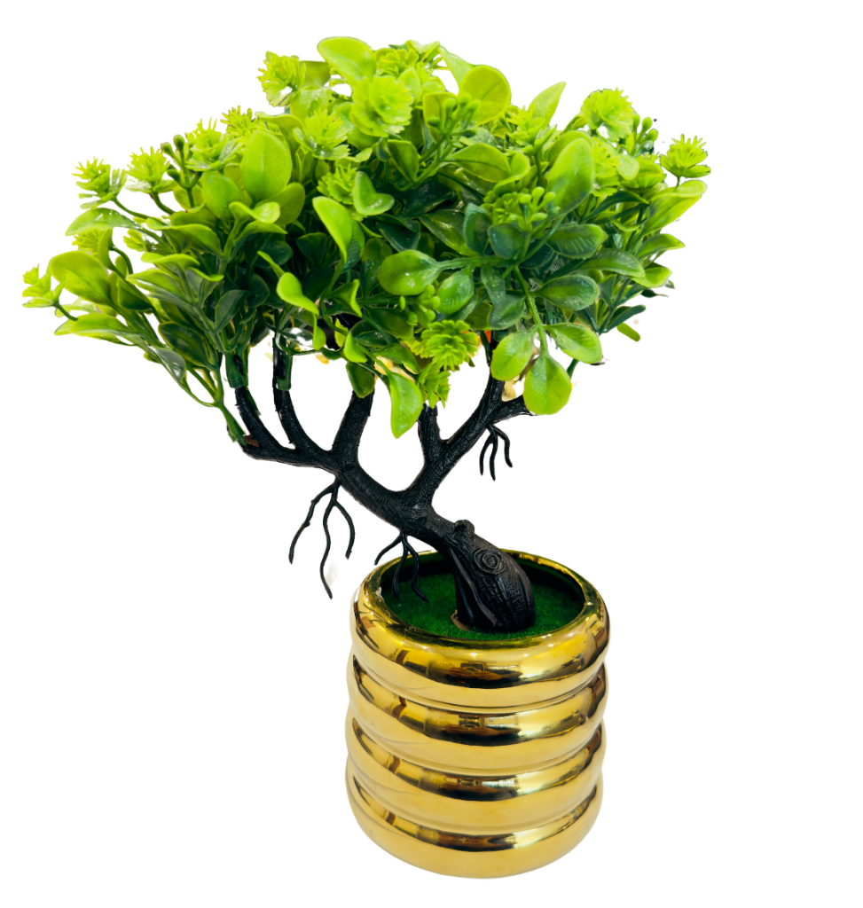 TP-26 Bonsai Tree