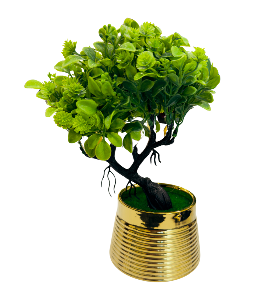 TP-26 Bonsai Tree