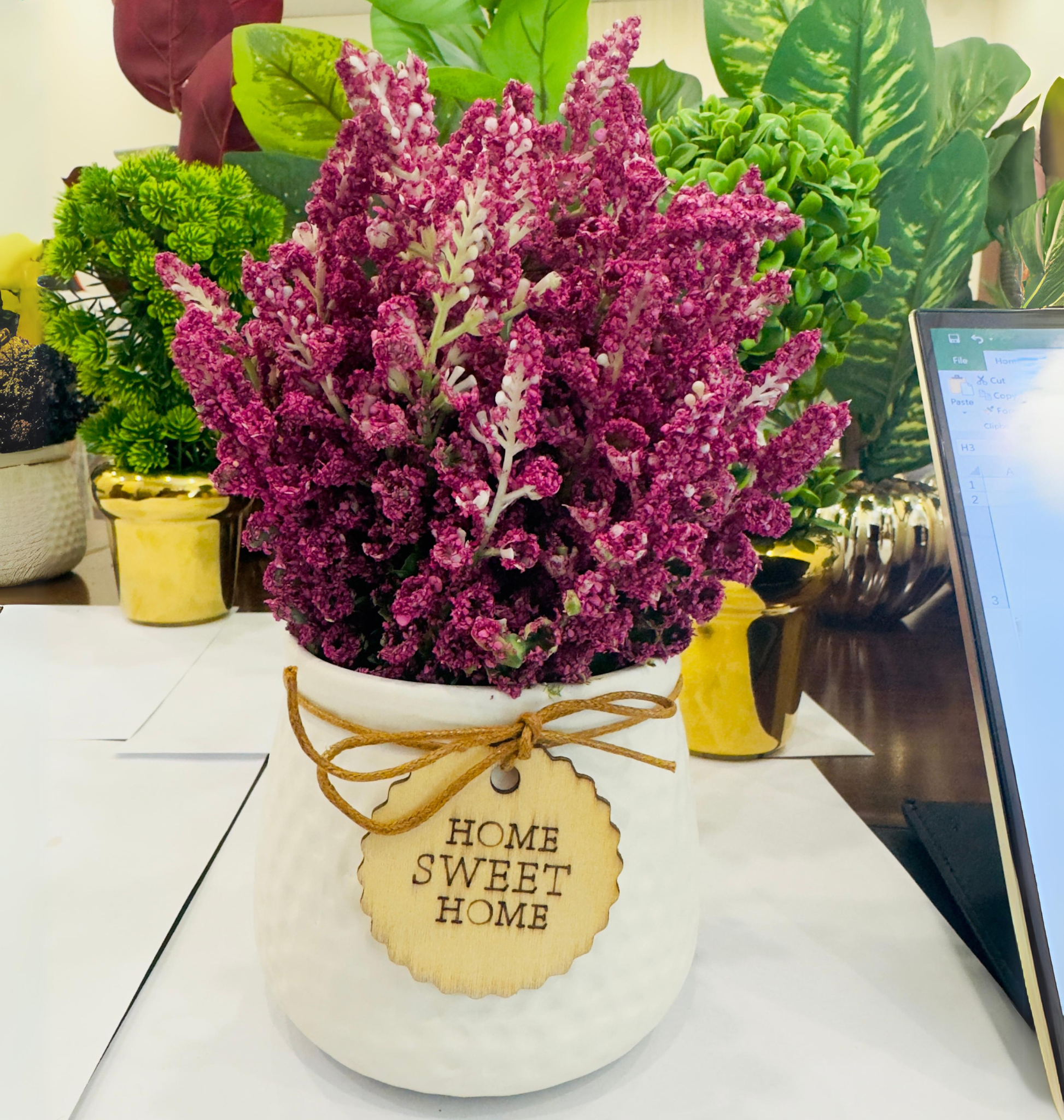 TP-06 Purple Lavender Plant