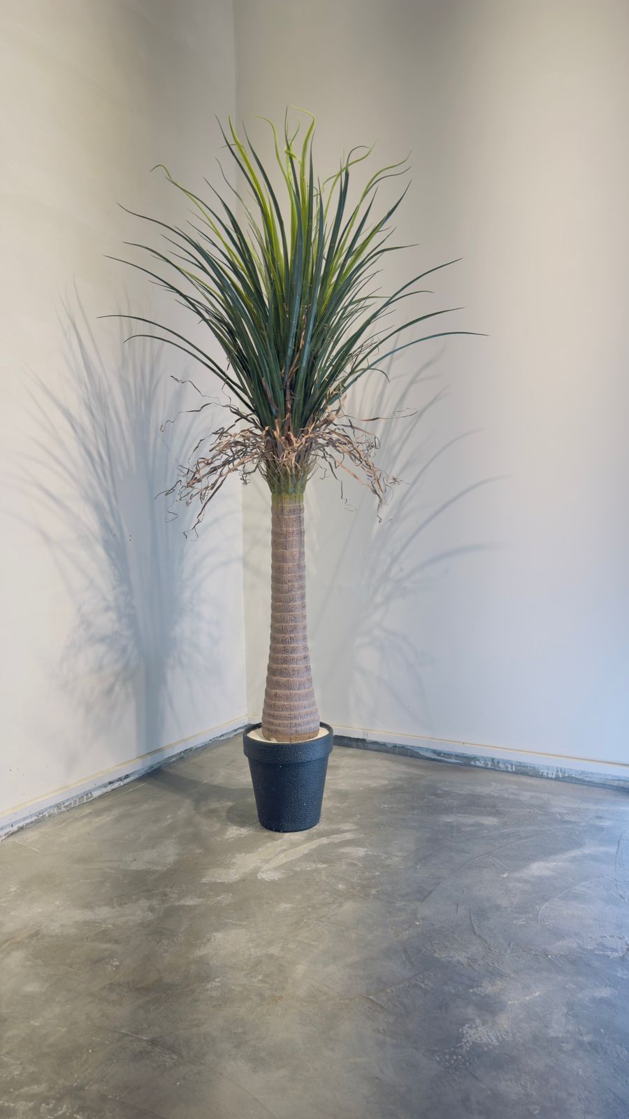 Wildstone 1.8M Artificial Date Palm Tree – Model 0575-11 | Tall Indoor Decorative Plant  Price: Rs. 15,000