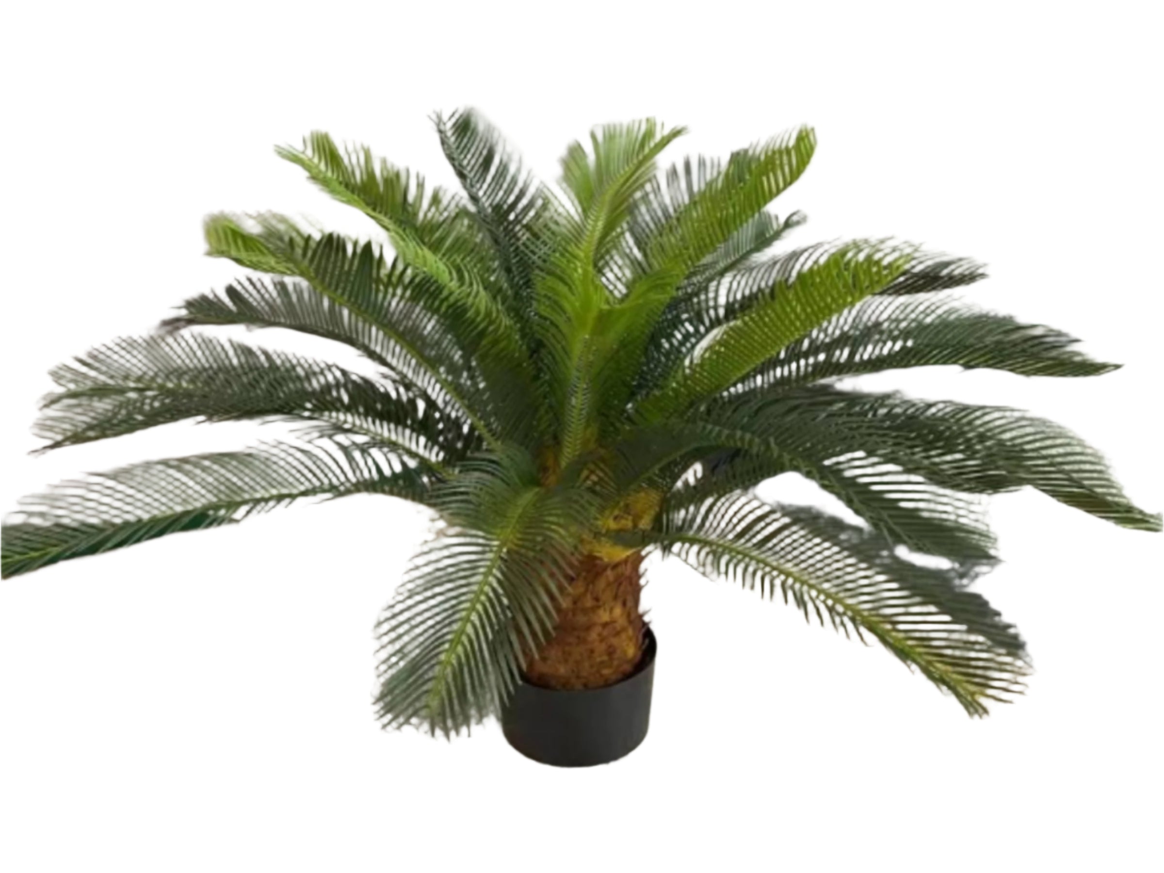 1.1M Artificial Cycas Palm Plant