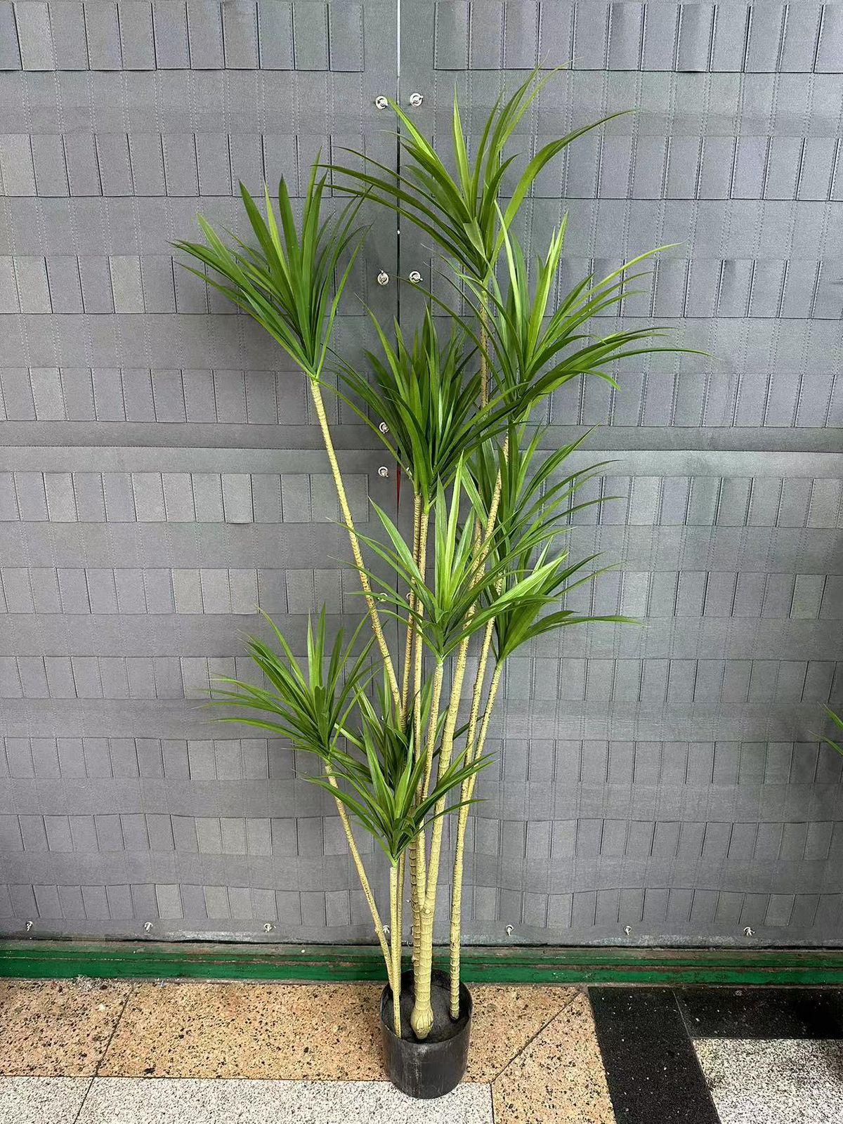 1.5M Artificial Dracaena Fragrans