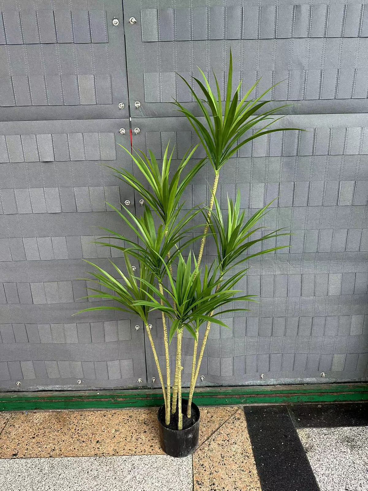 1.3M Artificial Dracaena Plant