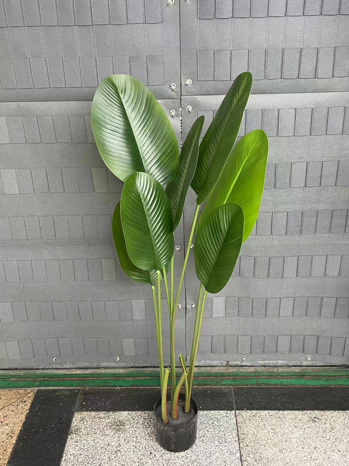 2.0M Artificial Banana Plan