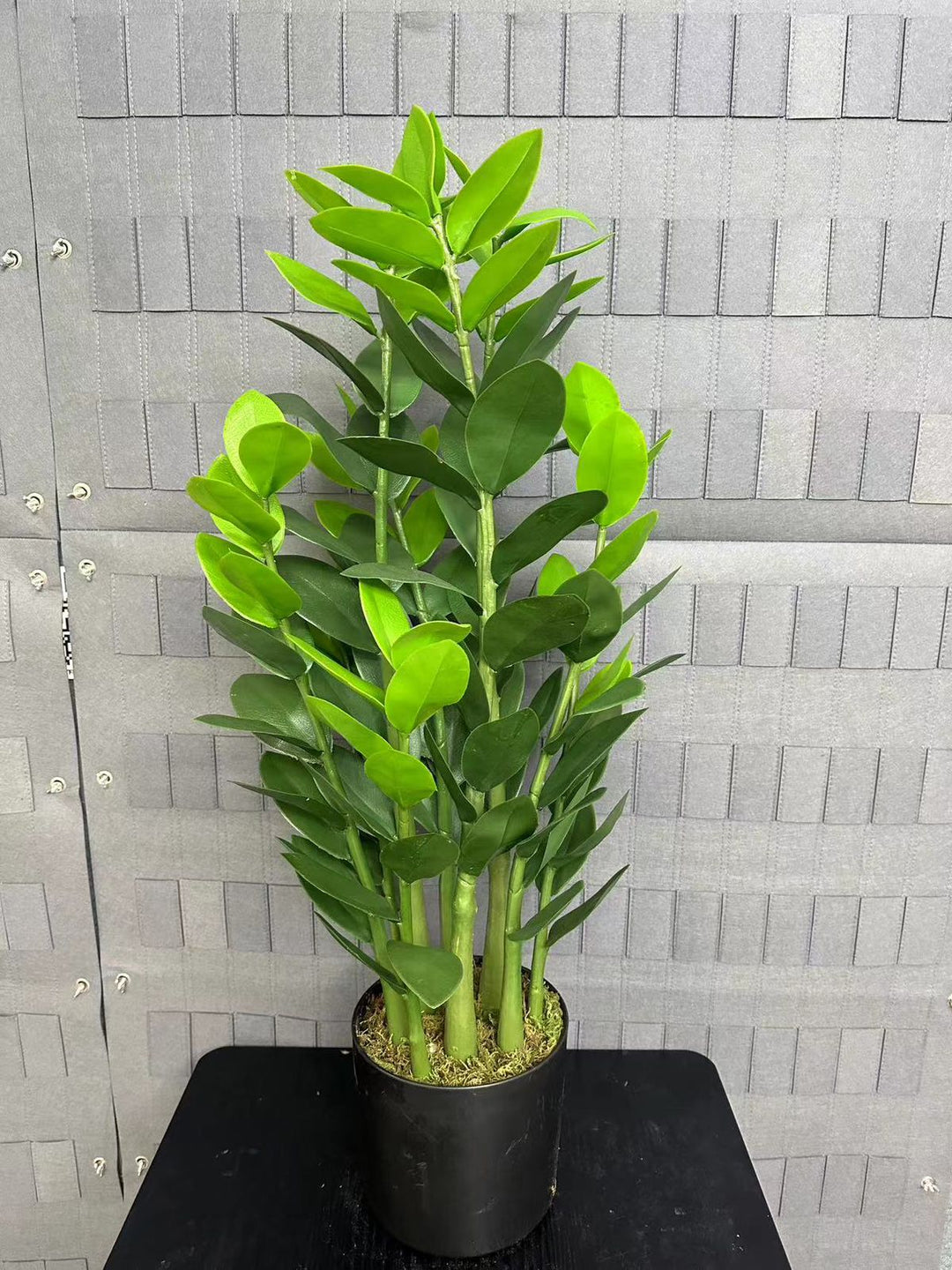 Wildstone 85cm Artificial Zamioculcas Plant (ZZ Plant) – Model 0575-12 | Indoor Decorative Greenery