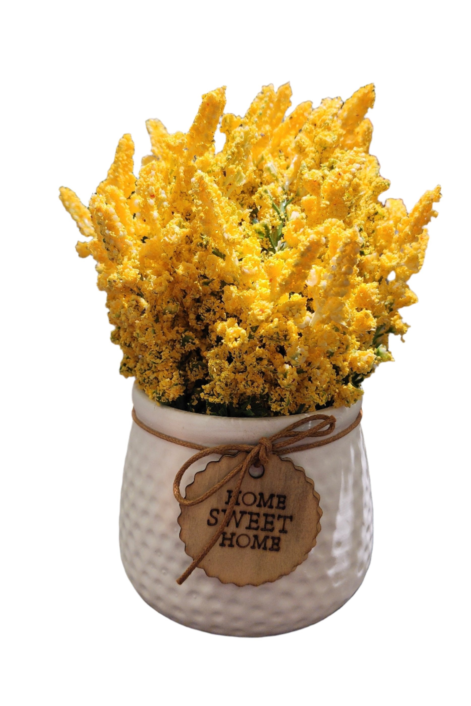 TP-008 Yellow Lavender Plant