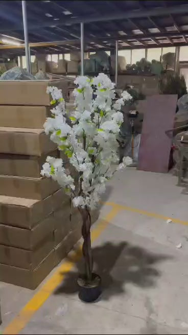 Cherry - JWT - 3089